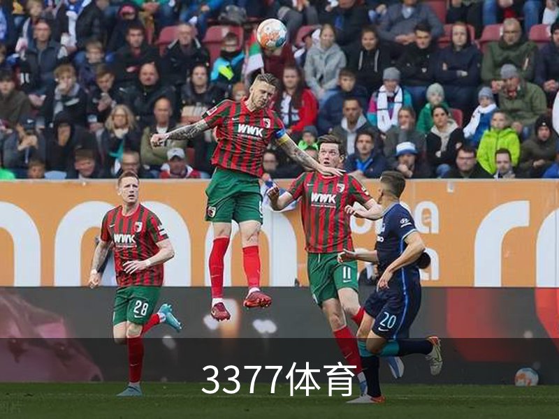 3377体育介绍